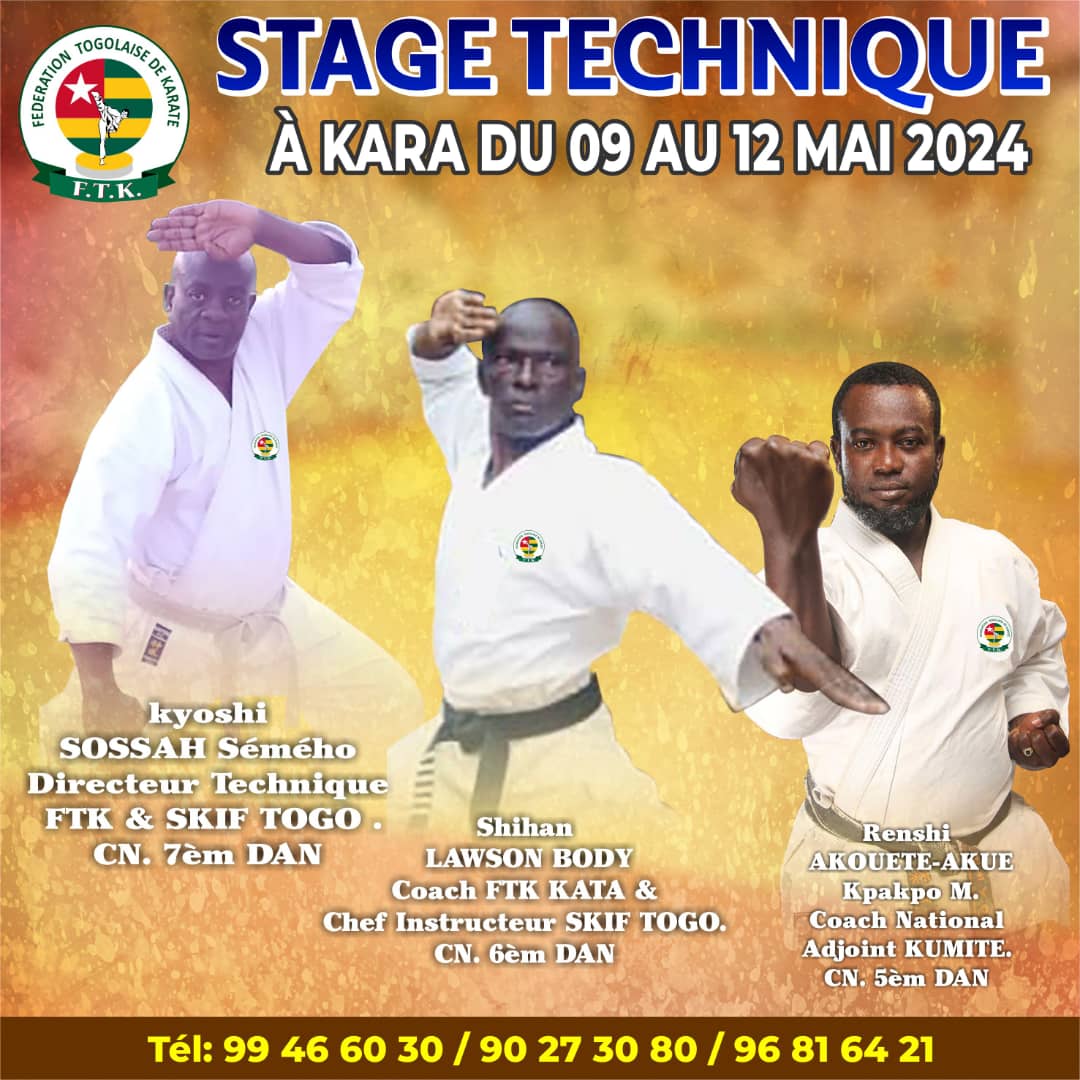KARATE : UNE TRENTAINE DE PRATIQUANTS EN STAGE TECHNIQUE A KARA