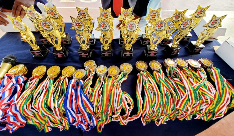 KARATE/OPEN COUPE DE L’INDEPENDANCE : PLUSIEURS TROPHEES ET MEDAILLES REMPORTES